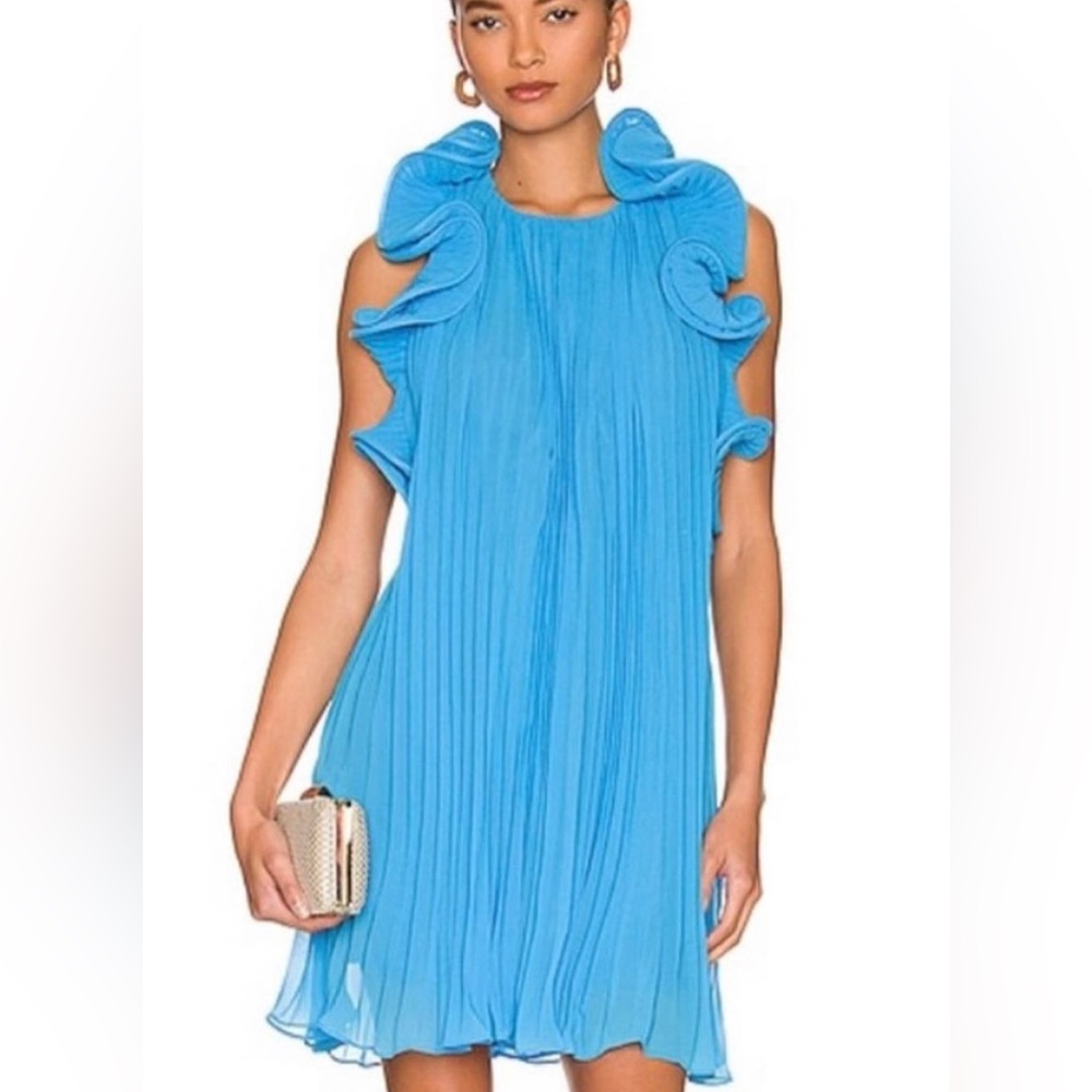 Never worn Amur dress size 0, fits a size 2 as well